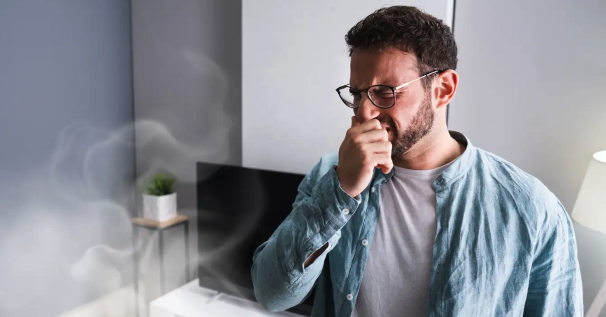 smoke odor removal